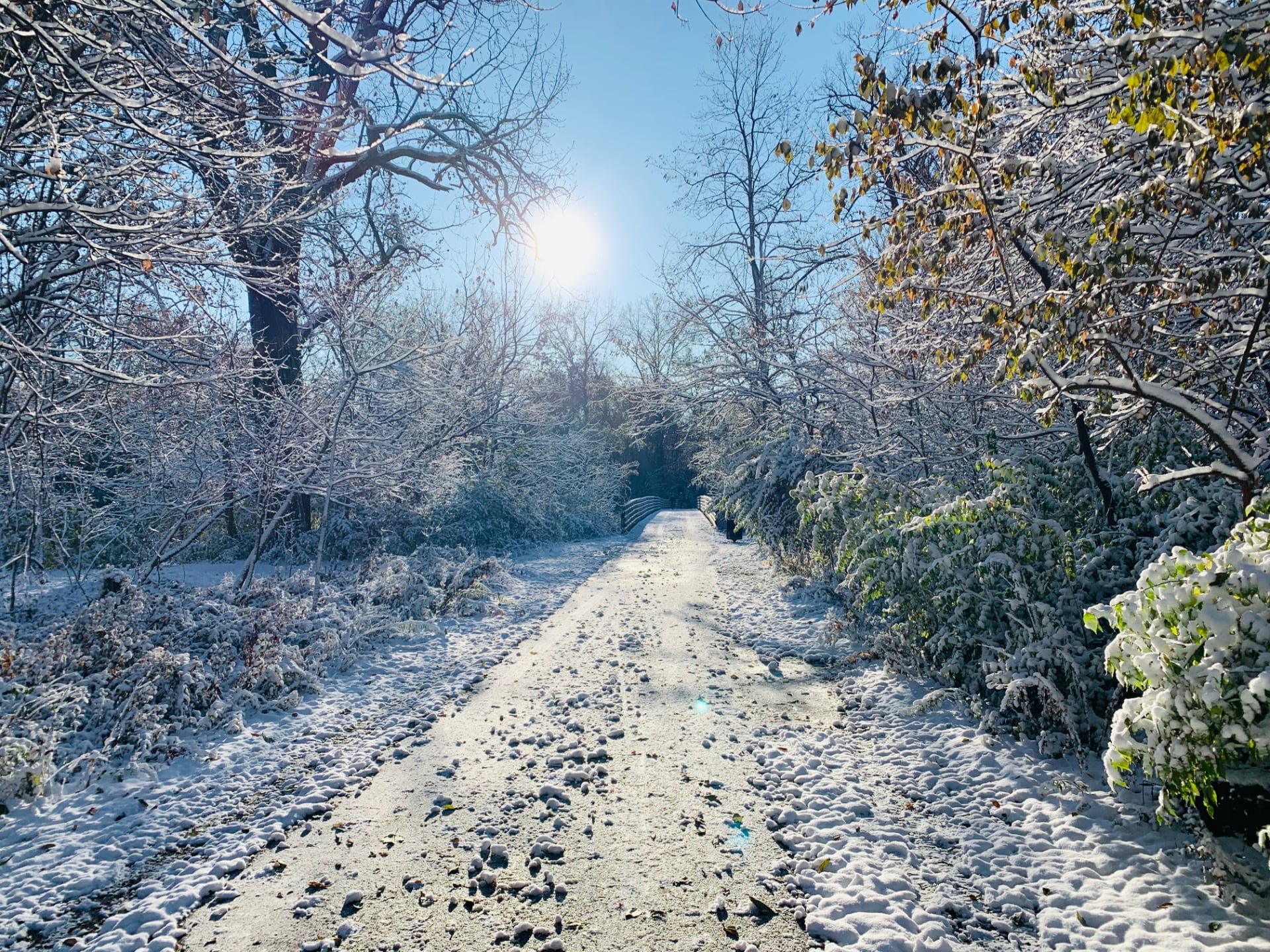 A frozen section of the bike trail with the sun overlooking